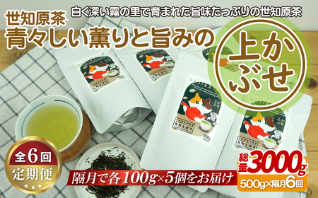 世知原茶 青々しい薫りと旨みの上かぶせ 【6回定期便】