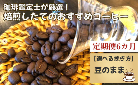 【毎月定期便6回】珈琲鑑定士が厳選！焙煎したてのおすすめコーヒー（豆） No.178-01