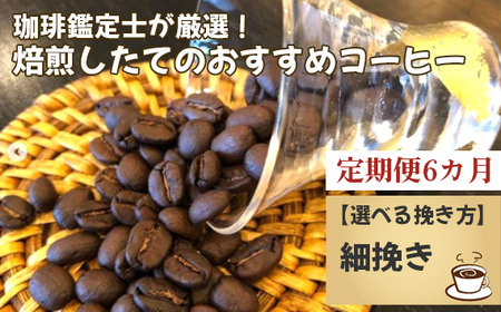 【毎月定期便6回】珈琲鑑定士が厳選！焙煎したてのおすすめコーヒー（細挽き） No.178-04