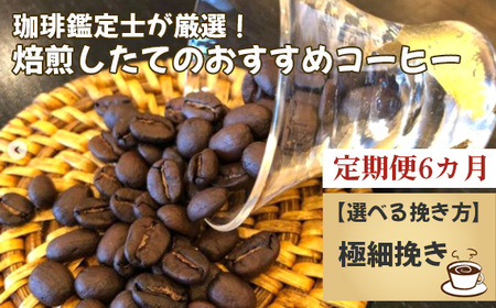 【毎月定期便6回】珈琲鑑定士が厳選！焙煎したてのおすすめコーヒー（極細挽き） No.178-05