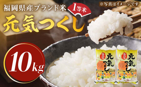 【先行予約】【令和7年産】福岡県産ブランド米「元気つくし」白米 10kg (5kg×2袋)【2025年11月以降順次発送】 [ABDD003] 
