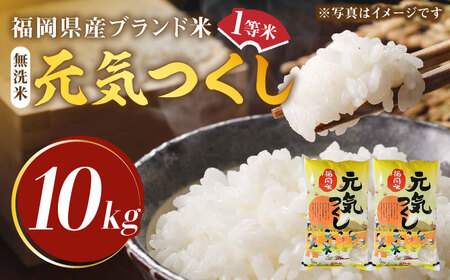 【令和7年産】福岡県産ブランド米「元気つくし」無洗米 10kg (5kg×2袋)【2025年11月以降順次発送】 [ABDD004] 