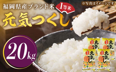 【令和7年産】福岡県産ブランド米「元気つくし」白米 20kg (5kg×4袋)【2025年11月以降順次発送】 [ABDD005] 