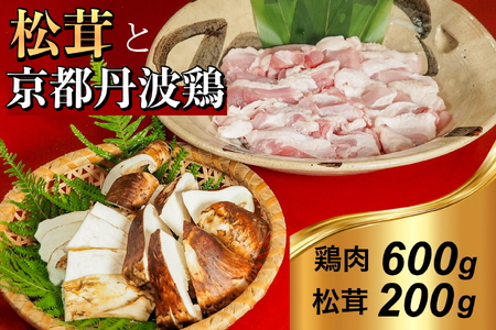【先行予約】京都丹波鶏と松茸すき焼きセット すき焼き