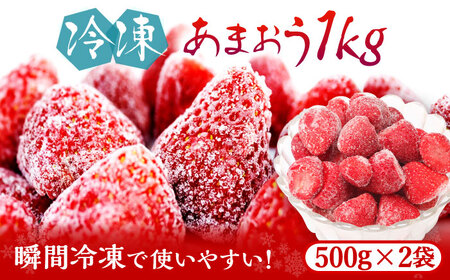 福岡県産【博多冷凍あまおう】約500g×2袋 合計約1kg [ABDG005] 