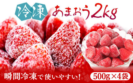 あまおう 約 500g × 4袋 [ABDG007] あまおう 果物