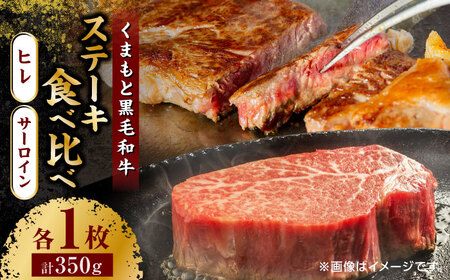 くまもと黒毛和牛 ステーキ食べ比べ ヒレステーキ サーロインステーキ【馬刺しの郷 民守】 熊本県産 九州産 和牛ヒレ サーロイン [ZBL026]