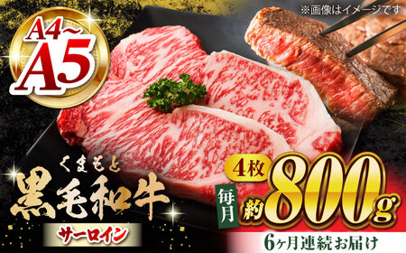 【6回定期便】くまもと黒毛和牛 サーロインステーキ 計800g（4枚）【馬刺しの郷 民守】 霜降り サーロイン ステーキ  [ZBL081]