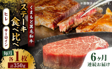 【6回定期便】くまもと黒毛和牛 ステーキ食べ比べ ヒレステーキ サーロインステーキ【馬刺しの郷 民守】 食べ比べセット ヒレ サーロイン ステーキ  [ZBL085]