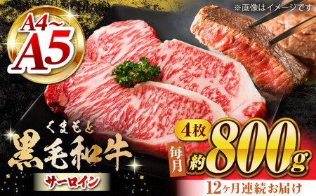 【12回定期便】くまもと黒毛和牛 サーロインステーキ 計800g（4枚）【馬刺しの郷 民守】ステーキ サーロイン 霜降り 熊本県 [ZBL109]