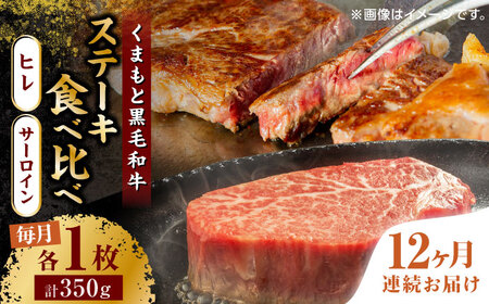 【12回定期便】くまもと黒毛和牛 ステーキ食べ比べ ヒレステーキ サーロインステーキ【馬刺しの郷 民守】 熊本 霜降り ヒレ サーロイン ステーキセット  [ZBL113]