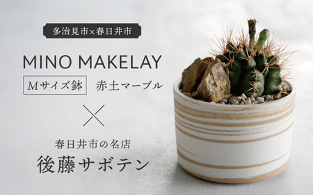 多治見市×春日井市コラボ【美濃焼】 MINO MAKELAY Mサイズ 鉢 赤土マーブル × 【日本有数のサボテンの生産地】 春日井市の名店 後藤サボテン 【井澤コーポレーション】[TBP166]