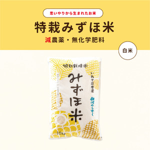 特別栽培みずほ米 銀河のしずく 白米 10kg  【1755】