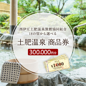 静岡 伊豆 土肥温泉 旅館協同組合 商品券（300,000円分）【宿泊券 宿泊 温泉 温泉宿 旅行 旅行クーポン お食事券 協同組合 静岡県 伊豆市】