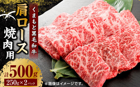 くまもと黒毛和牛 焼肉用 肩ロース 500g（250g×2pc）【馬刺しの郷 民守】  熊本県産 九州産 和牛 肩ロース焼き肉  [ZBL033]