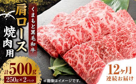 【12回定期便】くまもと黒毛和牛 焼肉用 肩ロース 500g（250g×2pc）【馬刺しの郷 民守】 熊本県産 九州産 和牛 お肉 肉 バラ 黒毛和牛 肩ロース 焼き肉  [ZBL120]