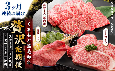 【3回定期便】くまもと黒毛和牛 贅沢定期便（ステーキ すき焼き しゃぶしゃぶ 焼肉）【馬刺しの郷 民守】 和牛 サーロイン 肩ロース すき焼き 焼肉用 しゃぶしゃぶ  [ZBL035]