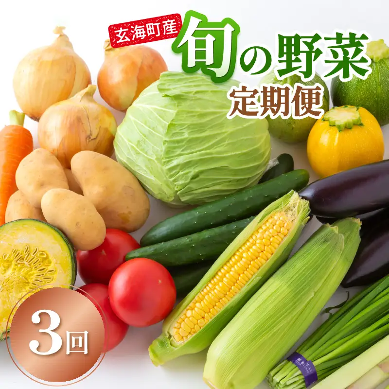 旬の野菜定期便 3か月｜野菜定期便【Z066】