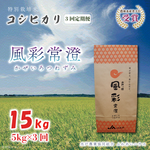 【3ヶ月定期便】【令和7年産】特別栽培米コシヒカリ「風彩常澄」計15kg（5kg×3回） （FC-103）