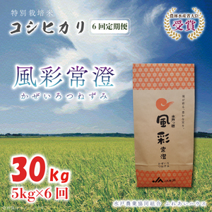 【6ヶ月定期便】【令和7年産】特別栽培米コシヒカリ「風彩常澄」計30kg（5kg×6回）】 （FC-104）