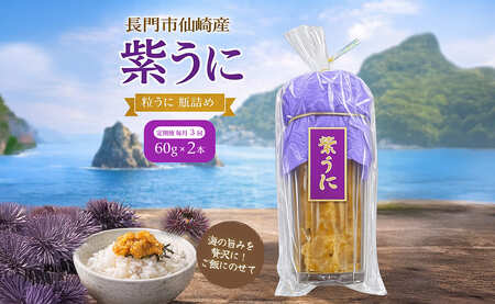 (1617) 【定期便】瓶詰めウニ 天然 ムラサキウニ 2本セット 毎月発送 全3回 60g×6本 合計360g 長門市