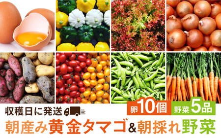 【お中元対象】糸島の朝産み黄金タマゴ10個 朝どれ新鮮野菜5品 セット【福岡県糸島産】 糸島市 / オーガニックナガミツファーム 玉子 やさい 	[AGE046]