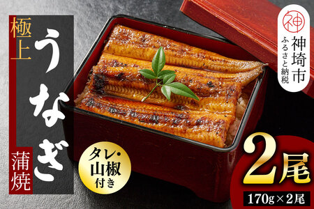 【職人手焼き】国産特大うなぎ蒲焼2尾(1尾あたり約170g前後)(H097113)