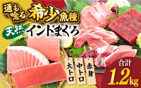 天然 まぐろ 大トロ・中トロ・赤身（約200ｇ×6柵）約1200ｇ 鮪 マグロ 魚 刺身 横須賀【横須賀商工会議所 おもてなしギフト事務局（本まぐろ直売所 横須賀本店）】 [AKAK021]