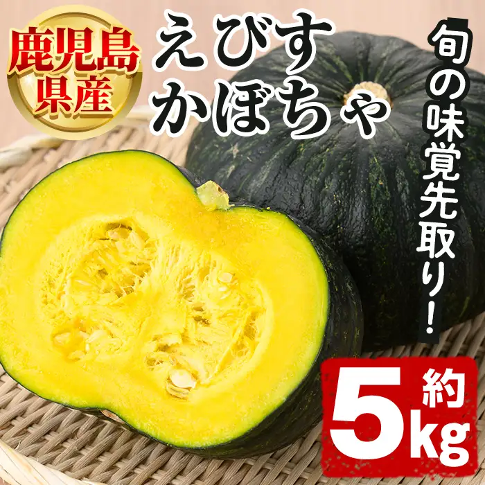 鹿児島県産 えびすかぼちゃ(約5kg) 国産 野菜 かぼちゃ カボチャ 南瓜 煮物 天ぷら バーベキュー BBQ スイーツ お菓子 期間限定【松永青果】akn053-04