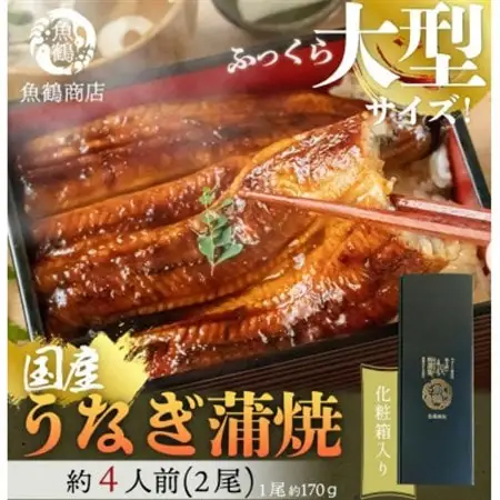 大型サイズ　ふっくら柔らか国産うなぎ蒲焼き　2尾【配送不可地域：離島】【1216731】