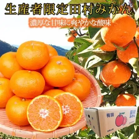 【2026年11月下旬より発送】高級ブランド田村みかん　5kg【1216839】