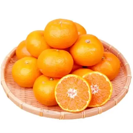 赤秀品　紀州和歌山ハウスみかん2.5kg【日高町】【1216957】