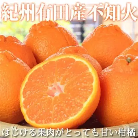 【ご家庭用】紀州有田産不知火(しらぬひ) 約8.5kg【日高町】【1216961】
