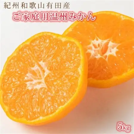 【2026年11月下旬より発送】【ご家庭用訳アリ】紀州有田産濃厚完熟温州みかん　5kg【日高町】【配送不可地域：離島】【1217243】