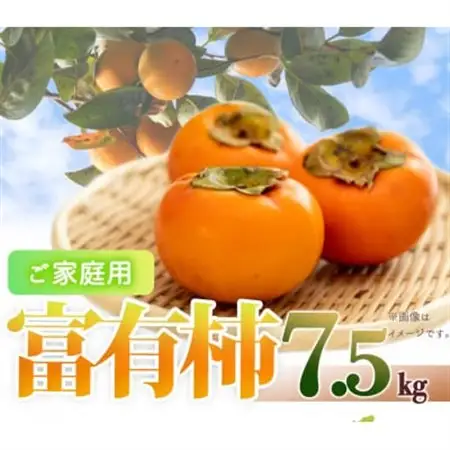 【2026年11月発送】【ご家庭用わけあり】和歌山秋の味覚　富有柿　約7.5kg【日高町】【1217364】