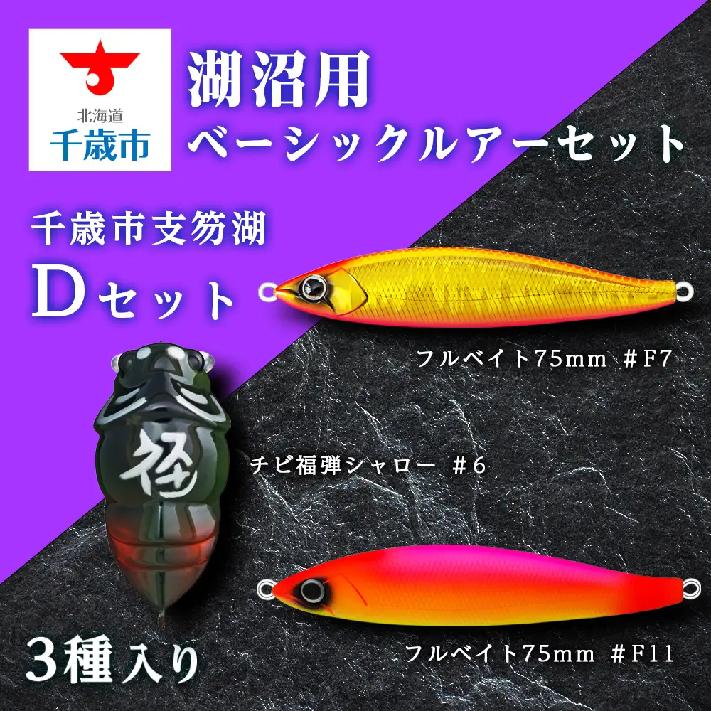 千歳市支笏湖Dセット（湖沼用ベーシックルアーセット）