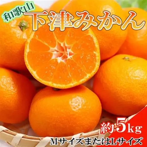 【産直】和歌山下津みかん約5kg(MサイズまたはLサイズのいずれかをお届け・秀品)(日高町)【1217632】