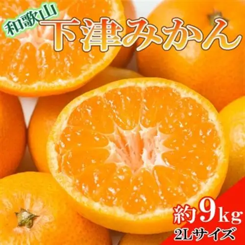 【産直・秀品】和歌山下津みかん約9kg(2Lサイズ) (日高町)【1217636】