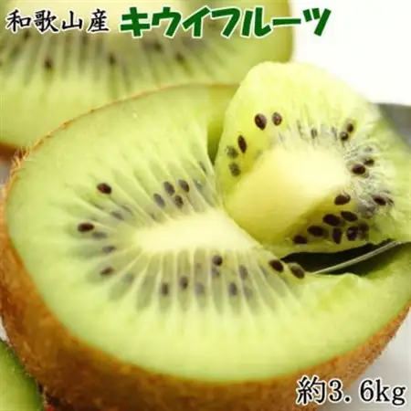 和歌山の下津で採れたキウイフルーツ約3.6kg(玉数おまかせ・秀品)(日高町)【1217979】