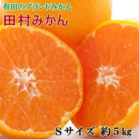 【ブランドみかん】田村みかん約5kg(Sサイズ・秀品)(日高町)【1218086】