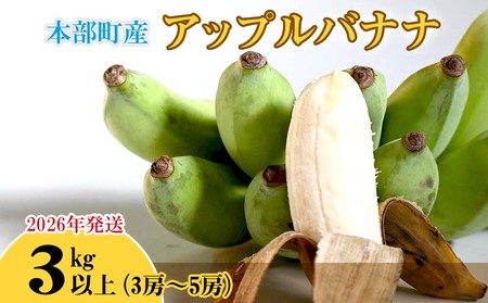 バナナ【2026年発送】本部町産アップルバナナ　3kg以上  フルーツ 