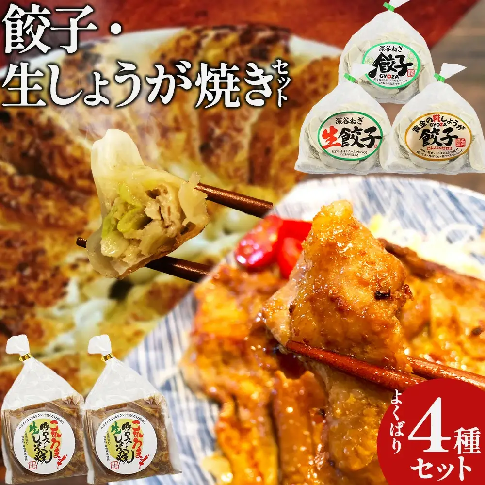 名所　餃子・生しょうが焼セット　【11218-0659】
