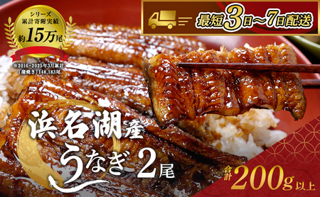 うなぎ 蒲焼き 2尾 (100g以上×2本)セット 国産 うなぎセット 国産うなぎ 浜名湖うなぎ