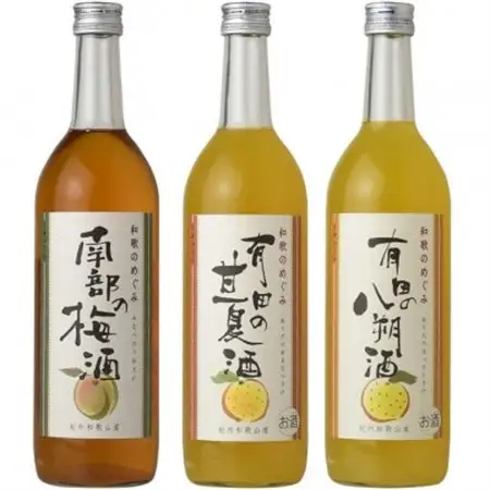 和歌のめぐみ酒【B】セット 720ml×3種 (有田の八朔酒/南部の梅酒/有田の甘夏酒)(A002)【1300044】