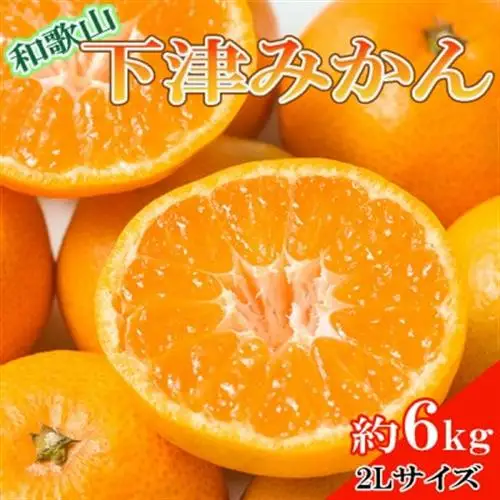 【産直・秀品】和歌山下津みかん約6kg(2Lサイズ)(日高町)【1313835】