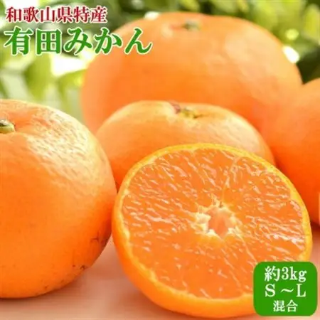 [秀品]紀州有田みかん約3kg(S～Lサイズ混合)「2026年11月中旬より順次発送」 (日高町)【1393675】
