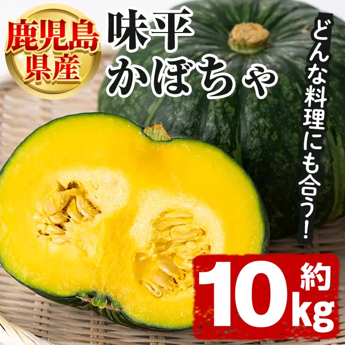 鹿児島県産 味平かぼちゃ(約10kg) 国産 野菜 かぼちゃ カボチャ 南瓜 煮物 天ぷら バーベキュー BBQ スイーツ お菓子【松永青果】akn053-32