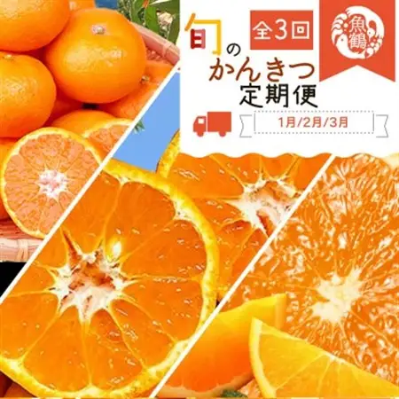【発送月固定定期便】紀州和歌山産旬の柑橘セット(みかん・ポンカン・清見)全3回【4001342】
