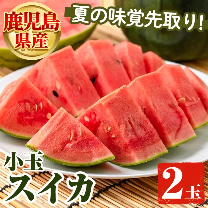 鹿児島県産 小玉スイカ(2玉) 国産 果物 スイカ すいか 西瓜 フルーツ スイーツ スムージー ジュース 期間限定【松永青果】akn053-06