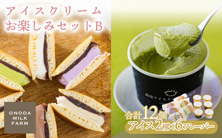 アイスクリームお楽しみBセット カップアイスとアイスサンド2種12個 　TF0725-P00023